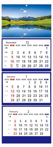 Wandkalender 2025 – 3-Monats-Wandkalender 2025, 3-Monats-Ansichtskalender 2025, 3-Monats-Wandkalender vertikal, dreiteiliger Kalender für die tägliche Organisation und Planung