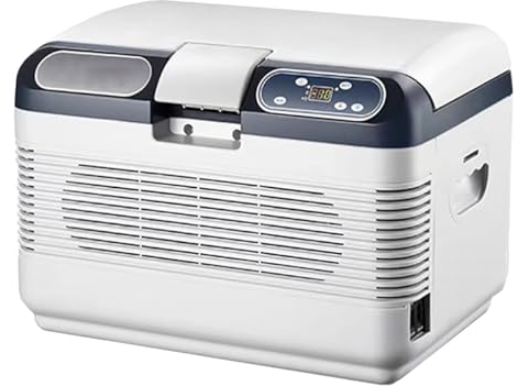 GIZNXBA Mini Frigo De Chambre 12l, Petit Frigo Cosmetique pour Les Femmes, Mini Réfrigérateur De Voiture pour Les Soins De La Peau, Les Boissons, La Maison, Le Bureau, Le Dortoir(Size:220V)