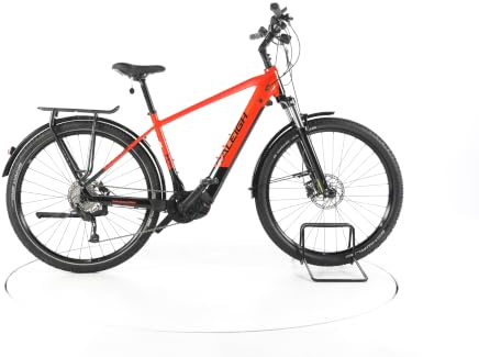 RALEIGH E Bike Dundee 9 Trekking E-Bike Herren 29 Zoll Elektrofahrrad, Bosch 85 Nm 500 Wh, 9 Gänge, Hydraulische Scheibenbremse 177-187 cm orange (Generalüberholt)