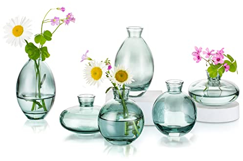 Hewory Kleine Vasen für Tischdeko, 6 Stück Vase Glas Mini Vasen Set Modern Glasvase Grün Kleine Blumenvasen Für Hochzeitsdeko Tisch Wohnzimmer Deko