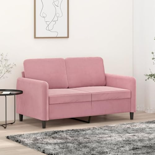 HETFTJN Zweisitzer Sofa Rosa 138x77x80 cm Samt Metallgestell Modernes kleines Couch für Wohnzimmer Jugendzimmer Balkon mit 120 cm breiter Sitzfläche