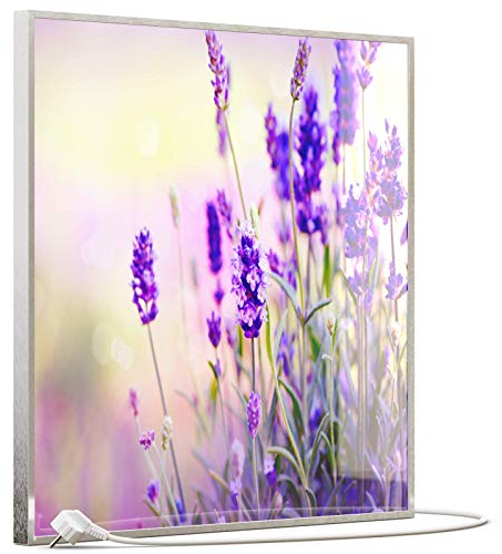 STEINFELD Heizsysteme® Glas Bild Infrarotheizung mit TS11 WiFi Thermostat | Made in Germany | Motive 061 Lavendel (350 Watt, silber/Alu)