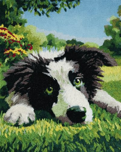 Kitquiver Tapisserie Knüpfen Set Knüpfteppich Hund Liegt Auf Dem Gras 15X20In/52X38Cm Für Kinder Und Erwachsene Teppich Zum Selber Knüpfen Teppich Kreuzstich Set Anfänger Knüpf-Sets Latch Ho