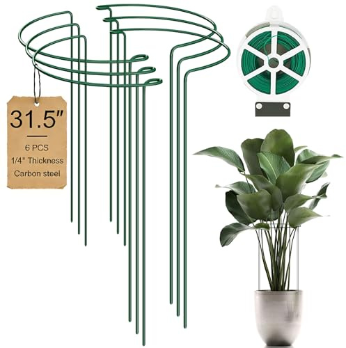 6-Pack 31.5” Plant Support Stakes, Steel Plant Cage & Peony Tomato Hydrangea Cage, Garden Stakes for Outdoor Plants, Heavy-Duty Plant Stakes, 16.7” Support + 14.8” Extension Tubes