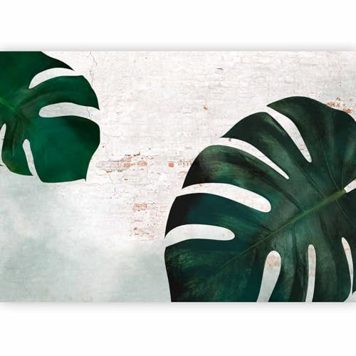 murando Fotomurales tropical Hojas 400x280 cm XXL Papel pintado tejido no tejido Decoración de Pared decorativos Murales moderna de Diseno Fotográfico Monstera Concreto Abstracto f-C-10001-a-a