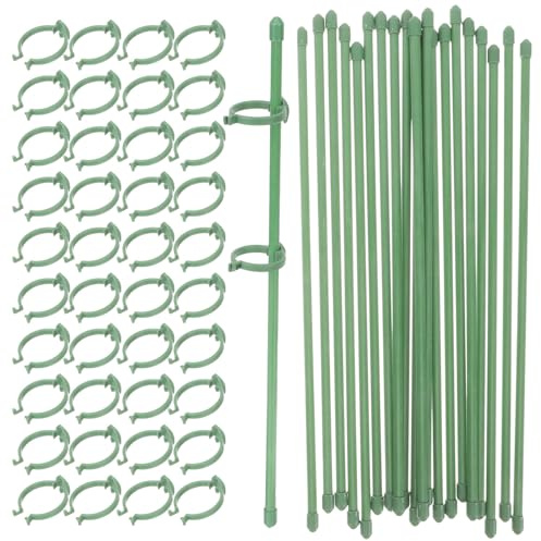 HOMSFOU 50 Stück Pflanzenständer aus Fiberglas und Kunststoff 30cm Hohe Pflanzenstütze für Kletterpflanzen Gartenspaliere für Terrasse und Garten