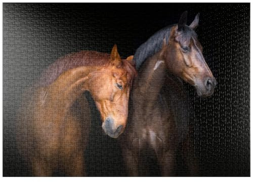 MyPuzzle Zwei Pferde vor schwarzem Hintergrund - Premium 1000 Teile Puzzle - MyPuzzle Sonderkollektion von Puzzle Galaxy