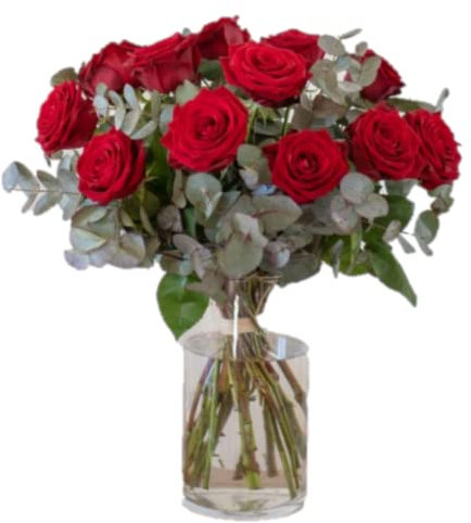 Ramo de 12 rosas rojas -FLORES NATURALES-ENTREGA EN 24 HORAS DE LUNES A SABADO