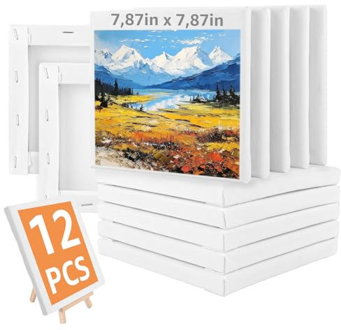 JMIATRY 12 Stück Leinwand 20x20CM, Leinwand zum Bemalen, Leinwände zum Malen für Öl-, Acryl, Temperafarben, Gouache Malerei
