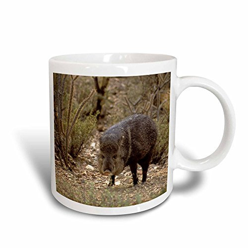 Tazze Da Caffè Moderne Tazza In Ceramica 330Ml, Javelina Wildlife, Arizona-Sonora Desert Kymri Wilt Tazzine Da Caffè Particolari Per Tè Donna Festa Della Mamma