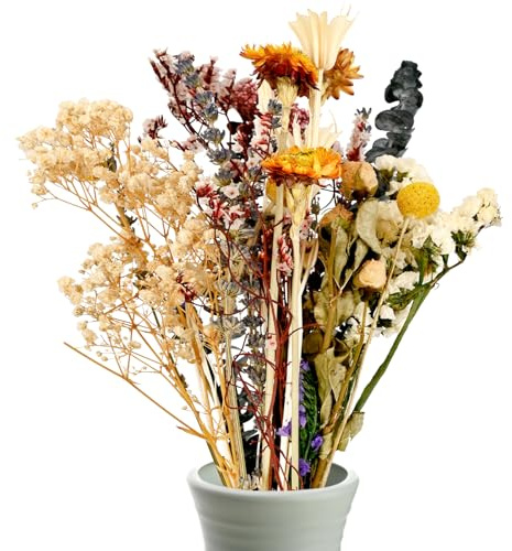 Flores Secas, Ramo de Arreglos DIY para la Decoración de tu Hogar, Dormitorio y Sala (Estilo 1)