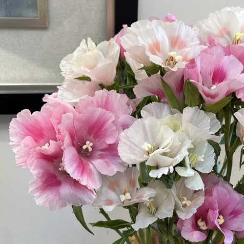 semillas de azalea de verano, primavera, silvestres azalea verano raras, decoración sala estar, para lugares soleados jardín rocas 60pcs