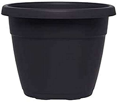 Emsa 517610 My City Garden Untersetzer, Ø 21 cm, terrakotta