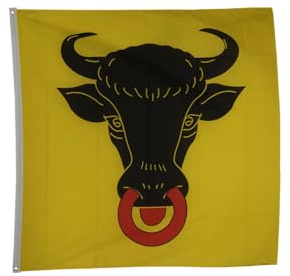 Flaggenfritze Hissflagge Schweiz Kanton Uri 150 x 150 cm - quadratische Kantonsfahne für Mast, Garten & Event - 3 Metallösen