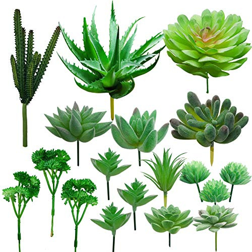 Cayway 18 Stück Künstliche Sukkulenten Grün Unfotted Faux Blume Sukkulenten Sukkulenten Künstlich Gemischt für Zuhause Indoor Fairy Garden Dekorationen