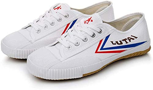 ZKHD Wu Shu Kung Fu skor, Shaolin Monk kampsportskor, Tai Chi sko unisex kanvas halkskydd mode qigong tränare, vit-45