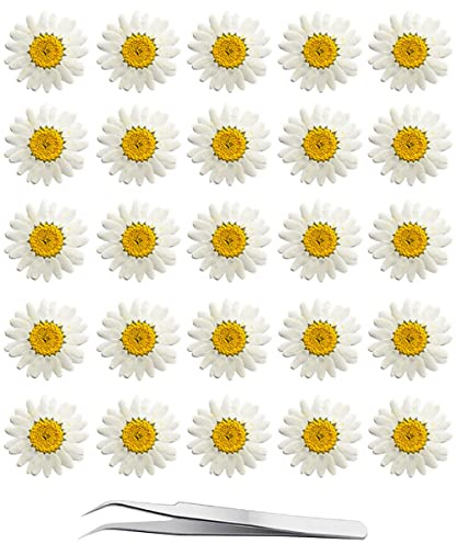 YouthBro 60-teiliges Blumen-Set aus getrockneten Gänseblümchen, echte Natur, Blumen-Set für Harz, DIY, Schmuck, Kerzen
