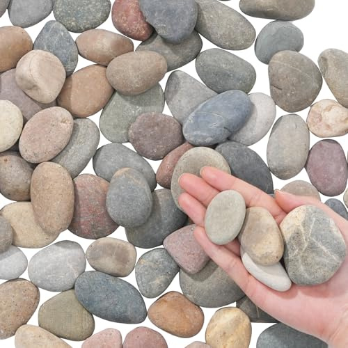 FAHAXIKI Natürliche Flusssteine, 2,3 kg Kieselsteine und Flusssteine, 2,5 - 5,1 cm Pflanzensteine für Landschaftsbau, Gartenpflaster, Basteln, Gehwege und Outdoor-Dekostein, mexikanische