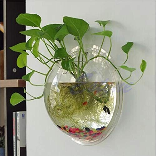 Wall Mounted Clear Acrylic Bubble Fish For Tank Flower Pot Vase Decoration Wall Hanging Fish Bowl Decorative Hydroponic Aquarium With Stand