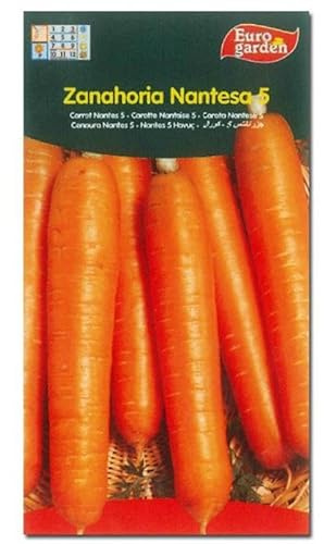 Semillas fito horticolas zanahoria nantesa 5 00301 (caja 10 unidades)