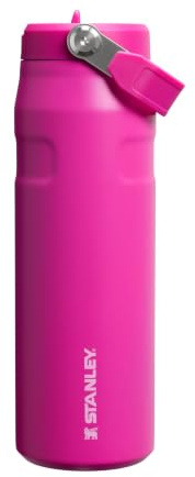 Stanley 1913 Flip Straw Botella Agua Con Pajita 0.7L - Violet Blossom | 10 Horas Fría - 2 Días Helada - Acero Inoxidable - Sin BPA - Antifugas - Apta Para Lavavajillas