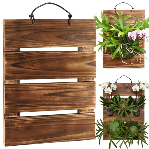 AwnsIMfreien Soporte para Plantas de Pared, Soporte para Helecho Cuerno de Ciervo, Rectangular para Plantas de Pared, Kit de macetero de Montaje de 13x9 para helechos Cuerno de Ciervo, orquídeas