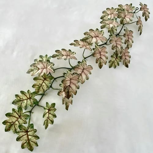 EboLD Künstliche Grünpflanzen, Kunststoff, Begonie, Schildkrötenrücken, Bambus-Apfelblätter, Heimdekoration, 3D-Druck, Simulationspflanze, rosa Farn