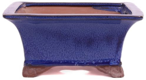 generisch Bonsai - Schale 17.5 x 17.5 x 8.5 cm, blau 22030