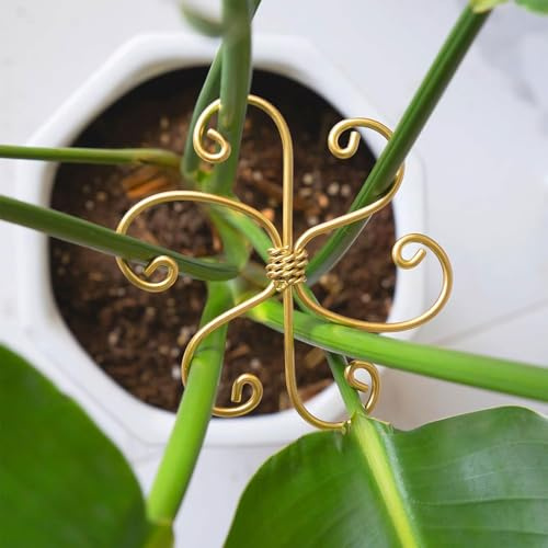 LunarCharm 4er-Pack Monstera-Pflanzenstützsystem aus Metall – langlebige Stielstützen mit Haken für gesundes Wachstum, benutzerfreundliche Zimmerpflanzenpflege