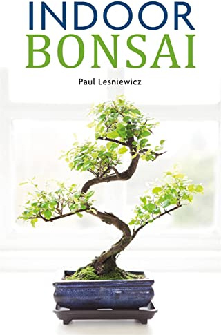 Indoor Bonsai