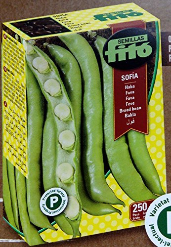 Semillas Fitó Semilla de haba Sofia (tipo Muchamiel)