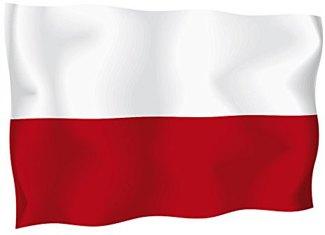 Bandiera Polonia 100x140 cm