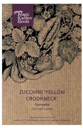 Zucchina gialla 'Yellow Crookneck' (Cucurbita pepo) - circa 7 semi