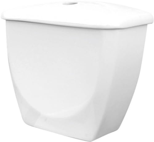nextradeitalia 1 PZ Cassetta per Vaso MONOBLOCCO Felce MOD.FERX.DIAEWN-FANN