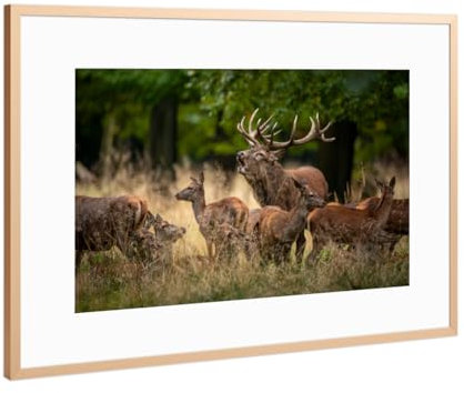 artboxONE Poster mit Rahmen Kupfer 75x50 cm Hirschrudel im Wald von Die Welt Tanzt Farben - gerahmtes Poster