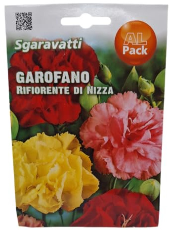 Semi di Garofano Rifiorente di Nizza, Fiori Misti, Pianta Perenne da Recidere, Colori Assortiti