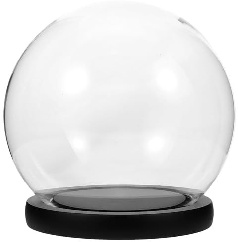 Cabilock Fiori Conservati Coperchio In Vetro Coperchio Polvere Decorazione Per La Casa Base Globo Di Rose Contenitori Floreali Decorativi