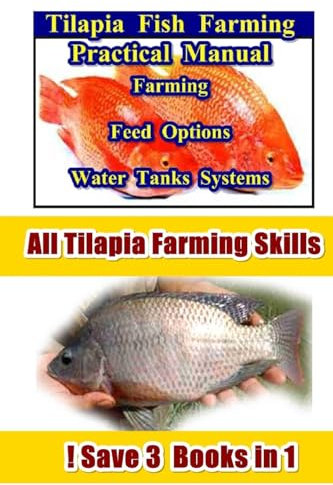 Tilapia Fish Farming (Tilapia Fish Farming Practices)