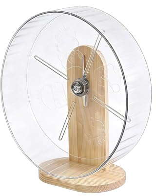 Ruota Gerbil - Ruota Da Corsa Silenziosa In Acrilico Da 24 Cm Con Supporto | Ruöta Per Esercizi Con Base In Legno Per Criceti, Topi, Piccoli Animali Domestici, Attività Di Fitness, Giocattolo, Accesso
