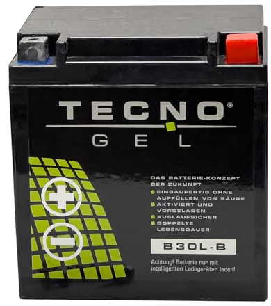 TECNO-GEL Motorrad-Batterie für YB30L-B für Arctic Cat Prowler 550, 700, 1000, 12V Gel-Batterie 30Ah, 168x132x176 mm