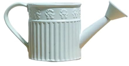 Regadera de metal for exteriores. Regadera de metal con pico largo. Regadera de gran capacidad con pico largo for plantas de interior y exterior. Perfecta for entusiastas de la jardinería y jardineros