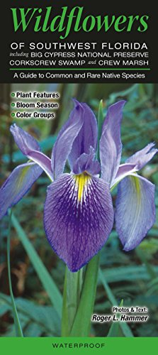 Wildflowers of Southwest Florida including Big Cypress NP, Corkscrew Swamp & CREW Marsh: A Guide to Common & Rare Native Species