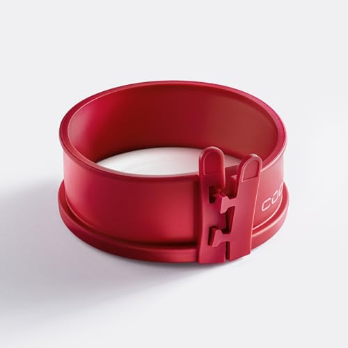 coox Molde desmontable con bandeja de porcelana de 12 cm, molde de silicona con fuente de porcelana para servir, moldes para hornear pequeños pasteles, ideal para postres individuales