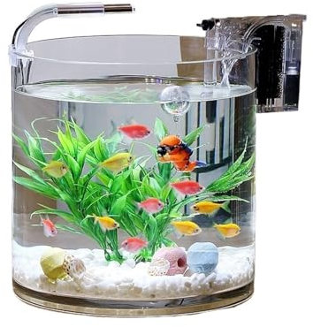Aquarium Transparentes Glasfischaquarium Wohnzimmer Büro Desktop Zylindrisches Fischaquarium Aquascape Glasaquarium Aquarien(25x25cm)