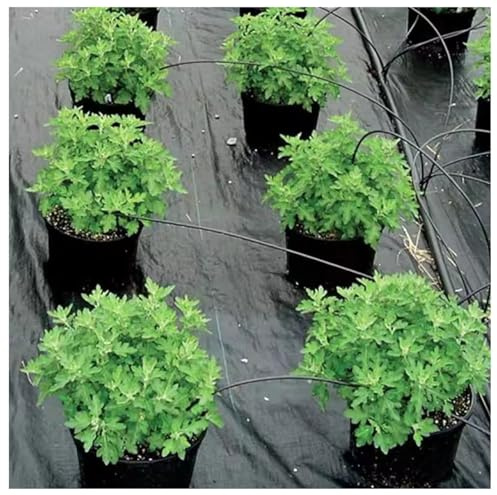 DIWAL Malla Antihierbas Tela Antimaleza Geotextil Cubresuelo UV Resistente Membrana para Control de Malezas en Jardín, Caminos, Entradas, Terraza, Macizos(1m x 20m)