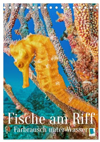 Farbrausch unter Wasser: Fische am Riff (Tischkalender 2026 DIN A5 hoch), CALVENDO Monatskalender: Leuchtende bunte Fische und farbenfrohe Korallen-Welt (Planer-Kalendarium) (CALVENDO Tiere)