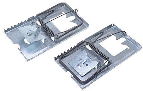 Aqbau® 2 pièges à Rats en métal.