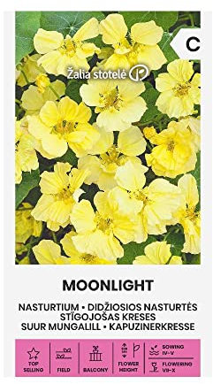 Zalia stotele | CAPUCINE | CLAIR DE LUNE des Graines | Graines de Fleurs | Graines de Plantes | Graines de Jardin | 1 Paquet