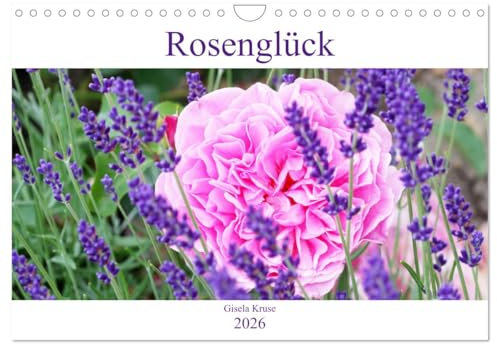 Rosenglück (Wandkalender 2026 DIN A4 quer), CALVENDO Monatskalender: Rosen schenken Glücksgefühle