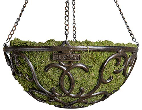 Black Hammer Elmbrige 80006 Runde Metall Pflanzenhänger Korb mit SuperMoss Liner